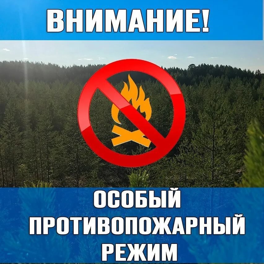 Противопожарный режим.jpg